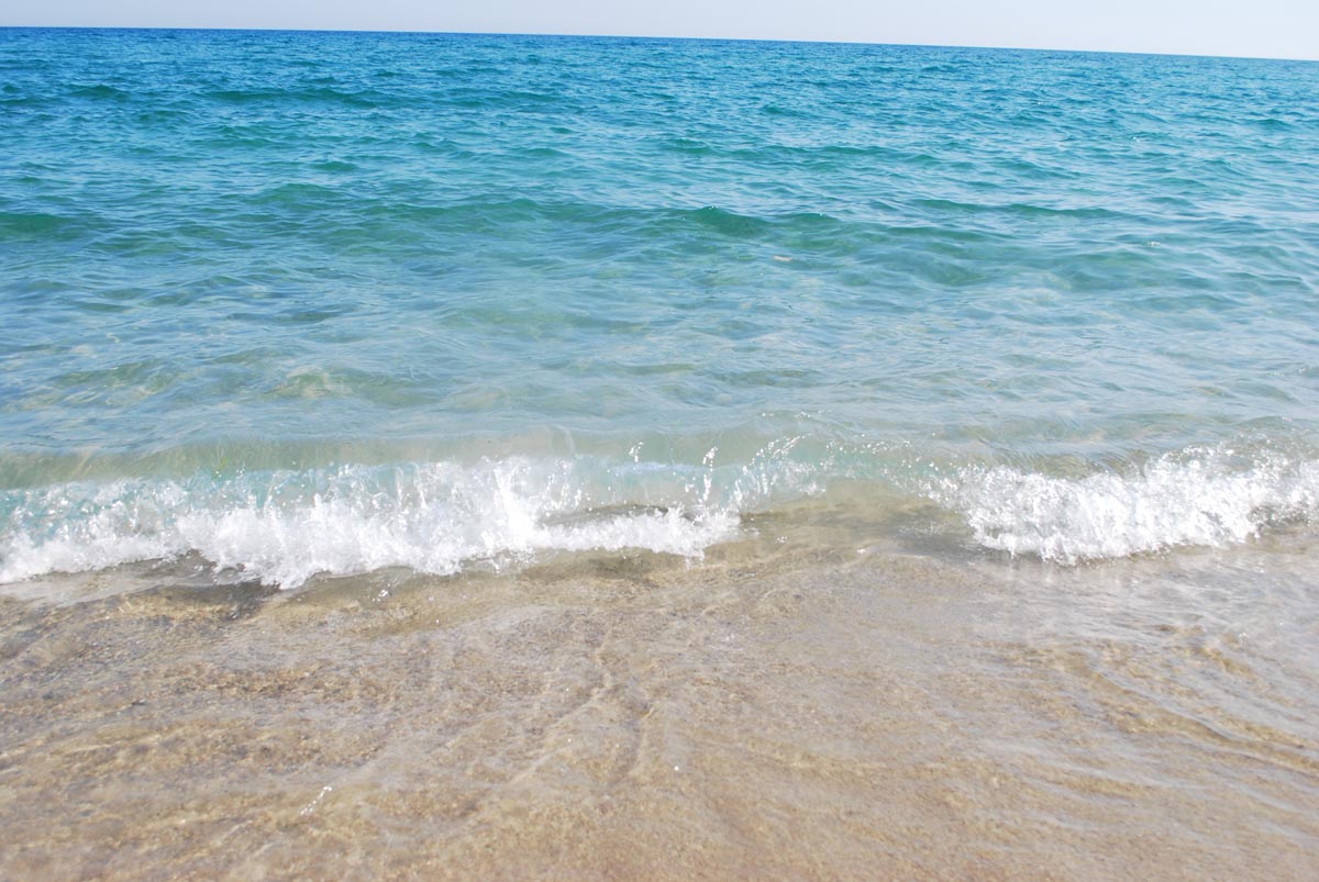 Mare Image 9